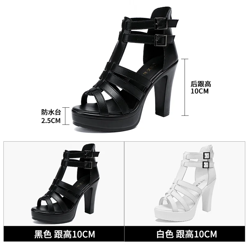 Gladiator Dames Schoen Voor Da - Gladiator Sandal Women recensie en prijs